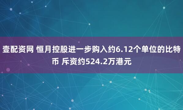壹配资网 恒月控股进一步购入约6.12个单位的比特币 斥资约524.2万港元