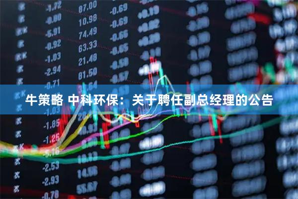 牛策略 中科环保：关于聘任副总经理的公告